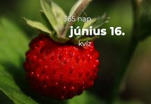 Június 16. Kvíz - június 16.