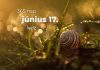 Június 17. Kvíz - június 17.
