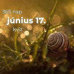 Június 17. Kvíz - június 17.