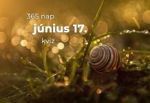 Június 17. Kvíz - június 17.