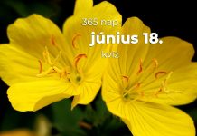 Június 18. Kvíz - június 18.