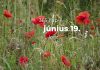 Június 19. Kvíz - június 19.