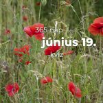 Június 19. Kvíz - június 19.