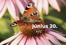 Június 20. Kvíz - június 20.