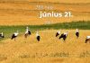 Június 21. Kvíz - június 21.