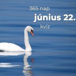 Június 22. Kvíz - június 22.