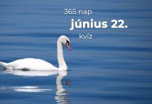 Június 22. Kvíz - június 22.
