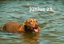 Június 23. Kvíz - június 23.
