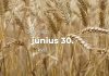Június 30. Kvíz - június 30.