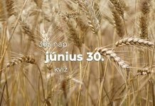 Június 30. Kvíz - június 30.