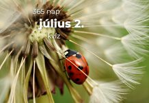 Július 2. Kvíz - július 2.