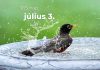Július 3. Kvíz - július 3.