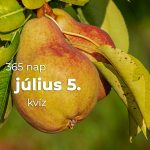 Július 5. Kvíz - július 5.