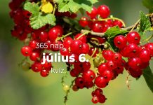 Július 6. Kvíz - július 6.