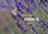 Július 8. Kvíz - július 8.
