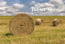 Július 12. Kvíz - július 12.