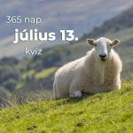 Július 13. Kvíz - július 13.
