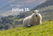 Július 13. Kvíz - július 13.
