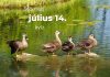 Július 14. Kvíz - július 14.