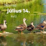 Július 14. Kvíz - július 14.