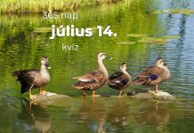 Július 14. Kvíz - július 14.