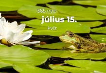 Július 15. Kvíz - július 15.