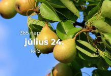 Július 24. Kvíz - július 24.