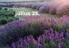 Július 25. Kvíz - július 25.