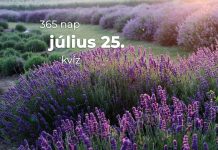 Július 25. Kvíz - július 25.