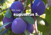 Augusztus 5. Kvíz - augusztus 5.
