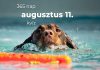 Augusztus 11. Kvíz - augusztus 11.