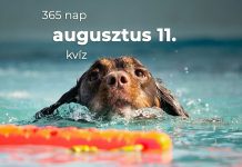 Augusztus 11. Kvíz - augusztus 11.
