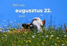 Augusztus 22. Kvíz - augusztus 22.