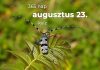 Augusztus 23. Kvíz - augusztus 23.