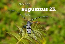 Augusztus 23. Kvíz - augusztus 23.
