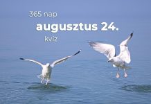Augusztus 24. Kvíz - augusztus 24.