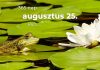 Augusztus 25. Kvíz - augusztus 25.