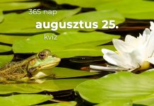 Augusztus 25. Kvíz - augusztus 25.