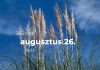 Augusztus 26. Kvíz - augusztus 26.