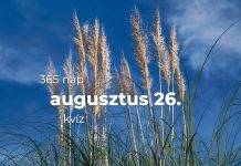 Augusztus 26. Kvíz - augusztus 26.
