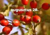 Augusztus 28. Kvíz - augusztus 28.
