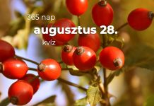 Augusztus 28. Kvíz - augusztus 28.
