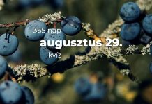 Augusztus 29. Kvíz - augusztus 29.