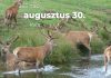 Augusztus 30. Kvíz - augusztus 30.