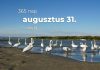 Augusztus 31. Kvíz - augusztus 31.