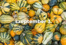 Szeptember 3. Kvíz - szeptember 3.