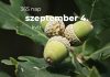 Szeptember 4. Kvíz - szeptember 4.