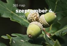 Szeptember 4. Kvíz - szeptember 4.