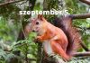 Szeptember 5. Kvíz - szeptember 5.