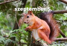 Szeptember 5. Kvíz - szeptember 5.